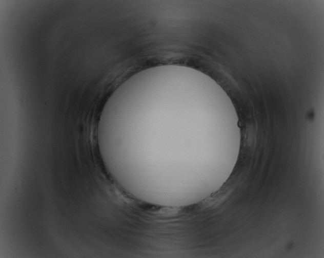 X0000101960138200807180711