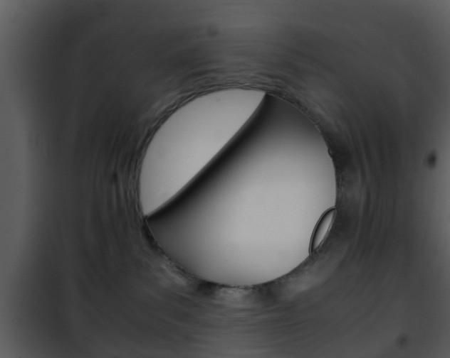 X0000101960139200807180711
