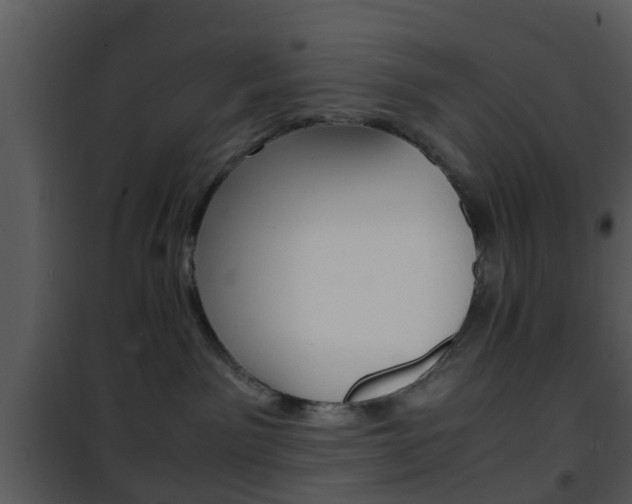 X0000101960141200807180711