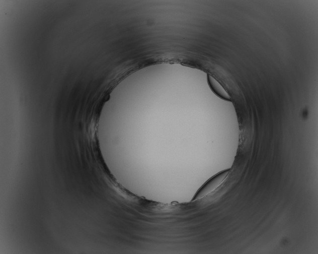 X0000101960142200807180711