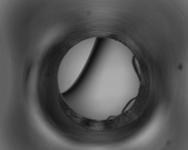X0000101960143200807180711