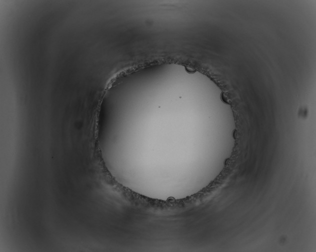 X0000101960144200807180711