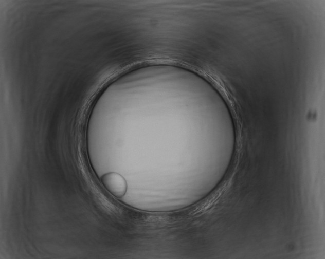 X0000101960145200807180710