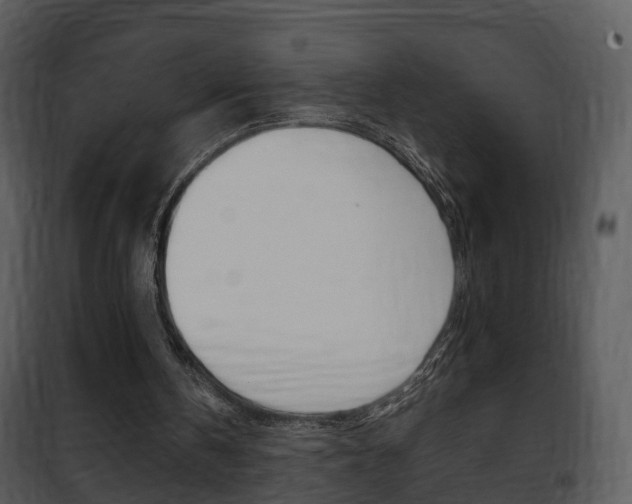 X0000101960146200807180710