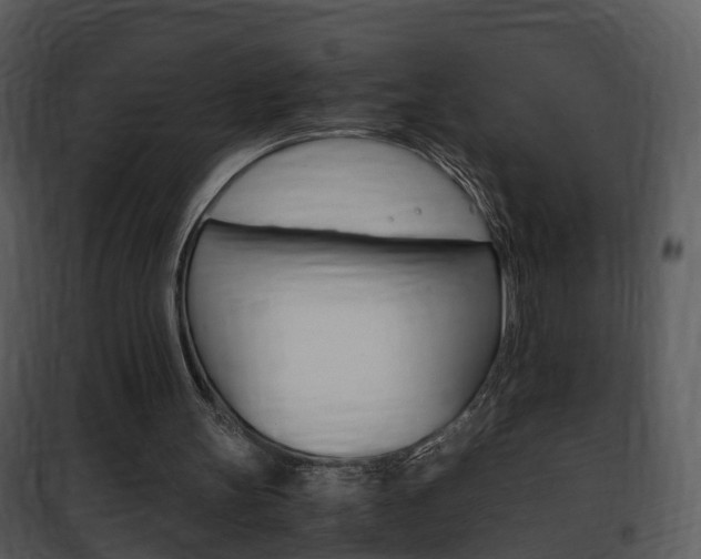 X0000101960147200807180710