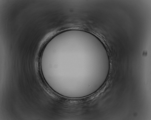X0000101960149200807180710