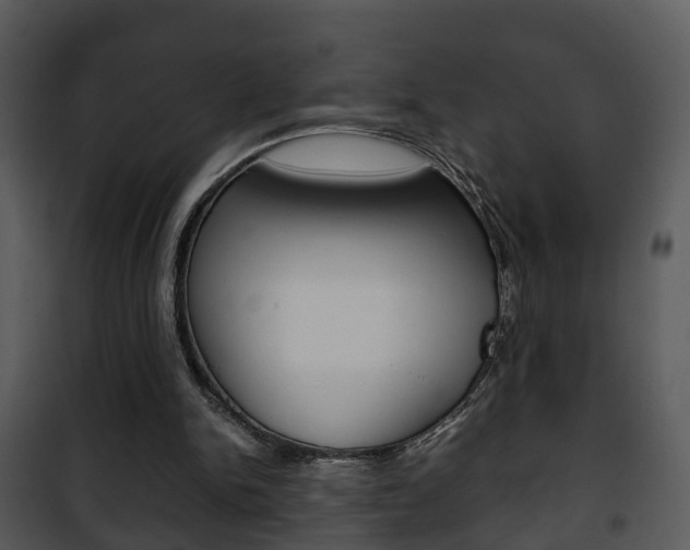 X0000101960150200807180710
