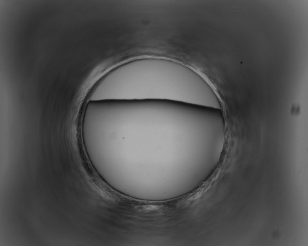 X0000101960151200807180710