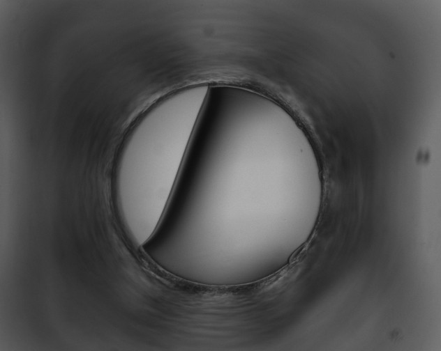 X0000101960154200807180710