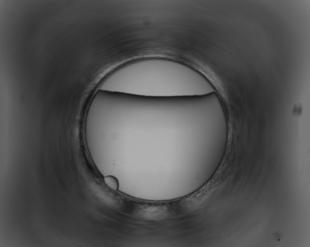 X0000101960155200807180710