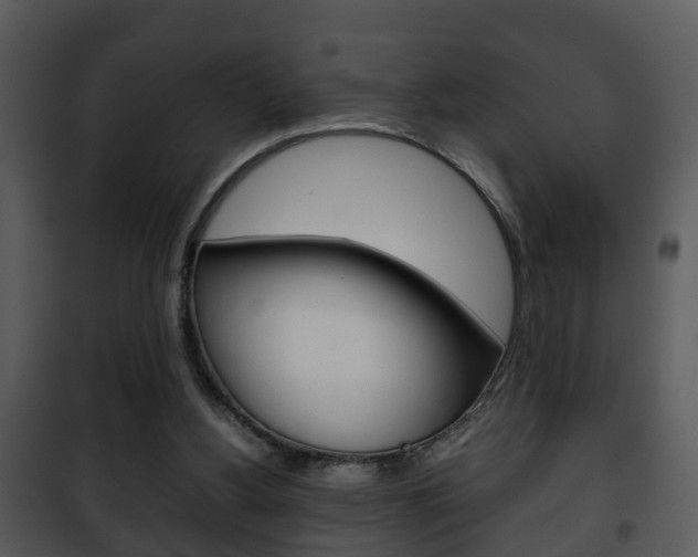 X0000101960156200807180710