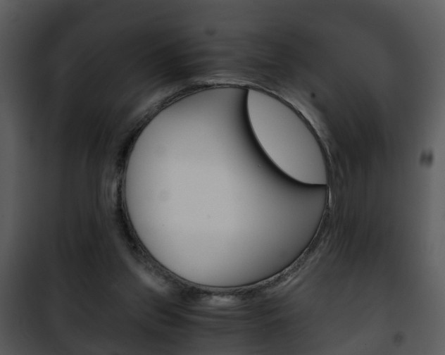 X0000101960157200807180710