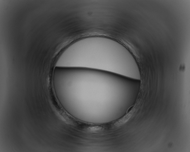 X0000101960158200807180710