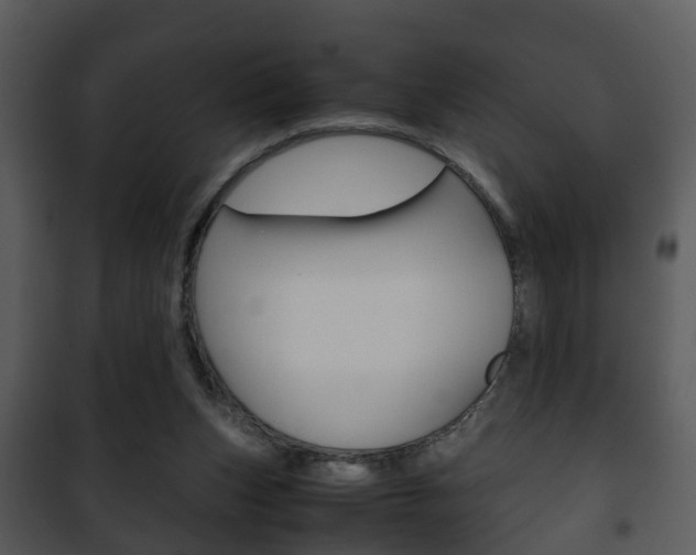 X0000101960159200807180710