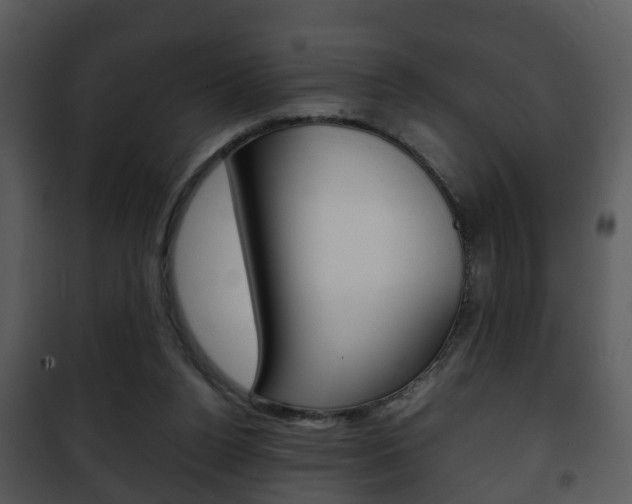 X0000101960160200807180710