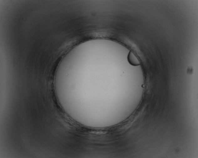 X0000101960161200807180711