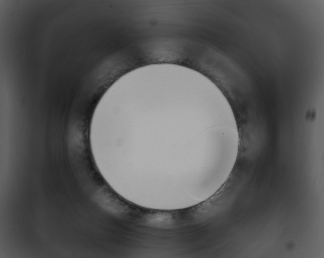 X0000101960162200807180711