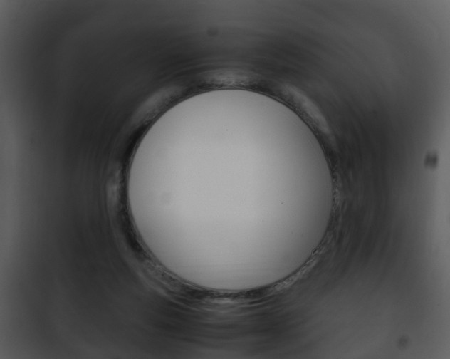 X0000101960163200807180711