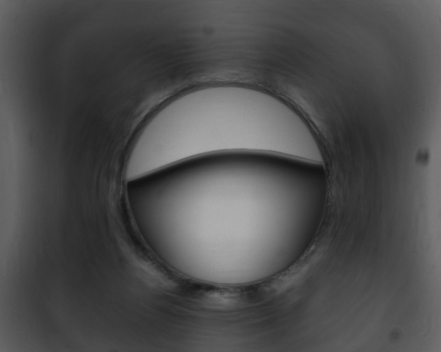 X0000101960164200807180711