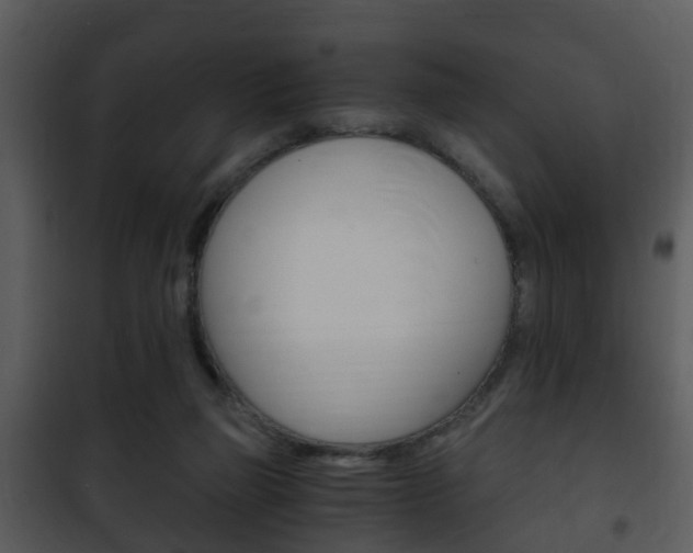X0000101960165200807180711