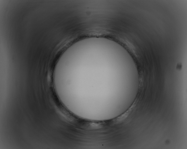 X0000101960166200807180711