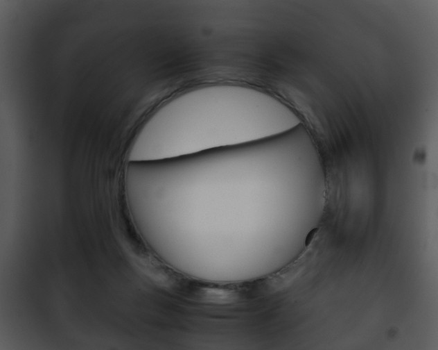 X0000101960167200807180711