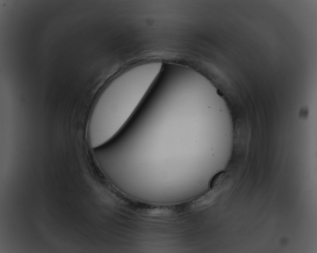 X0000101960168200807180711