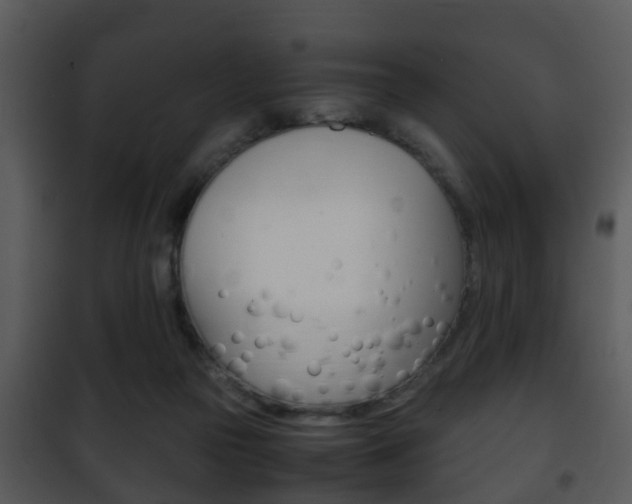 X0000101960169200807180711