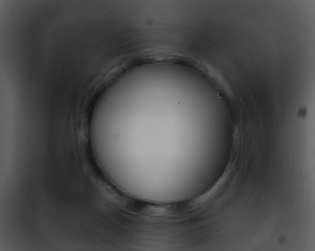 X0000101960170200807180711
