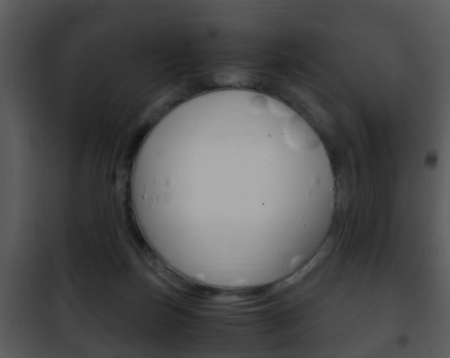 X0000101960171200807180711