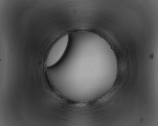 X0000101960172200807180711