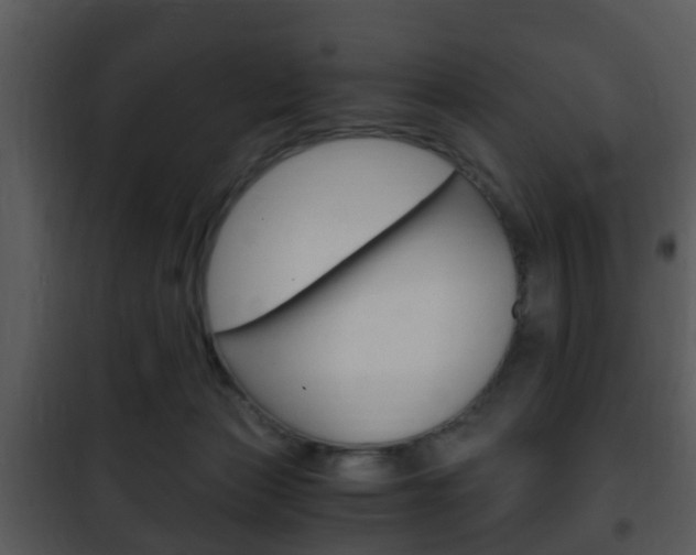 X0000101960173200807180711