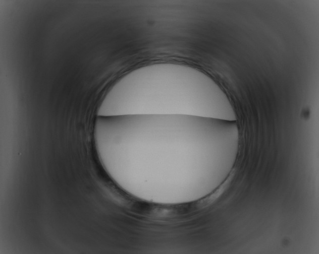 X0000101960174200807180711