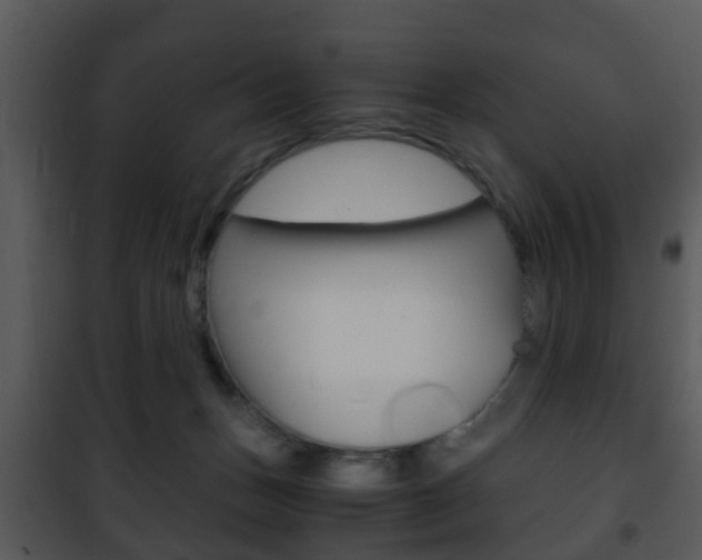 X0000101960175200807180711