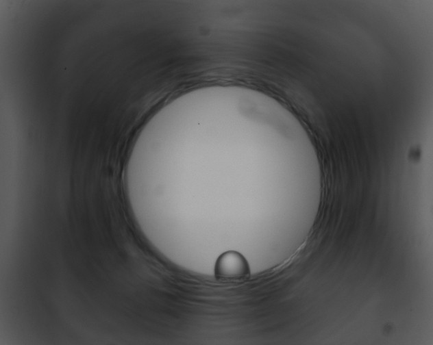 X0000101960176200807180711