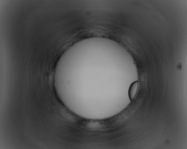 X0000101960177200807180711