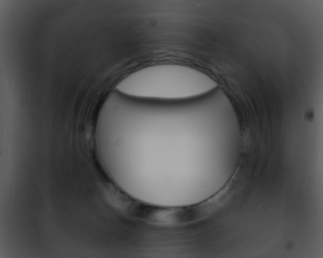 X0000101960178200807180711