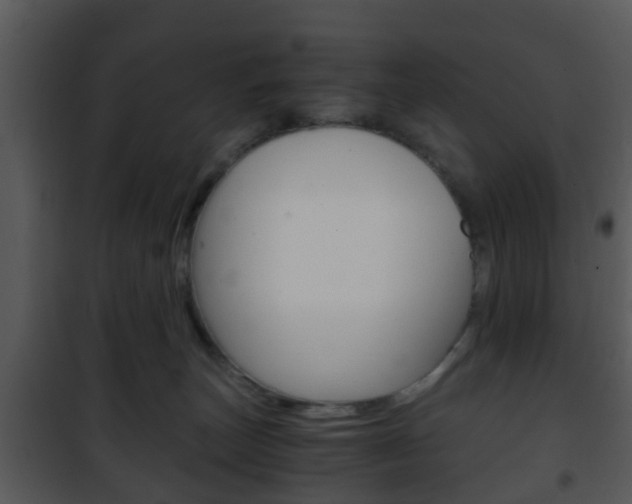 X0000101960179200807180711