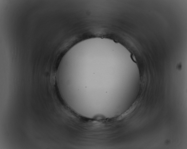 X0000101960180200807180711