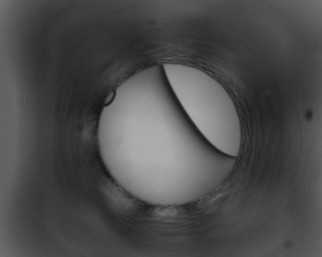 X0000101960181200807180711