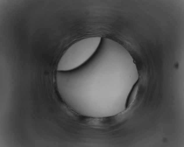 X0000101960182200807180711