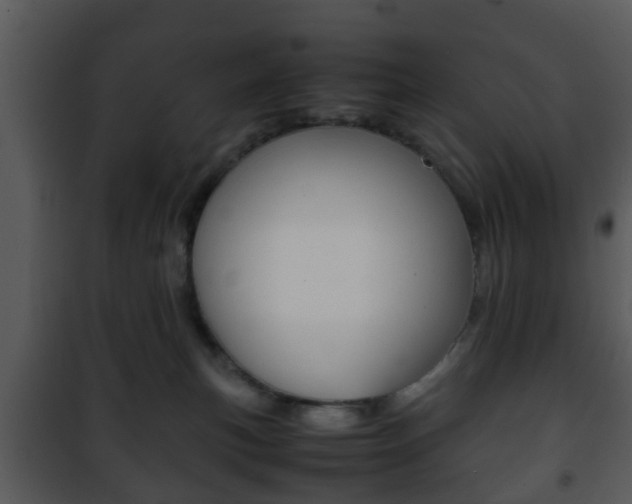 X0000101960183200807180711