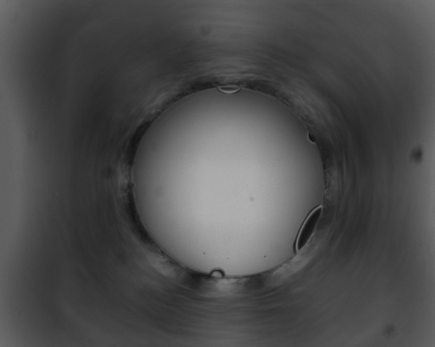 X0000101960184200807180711