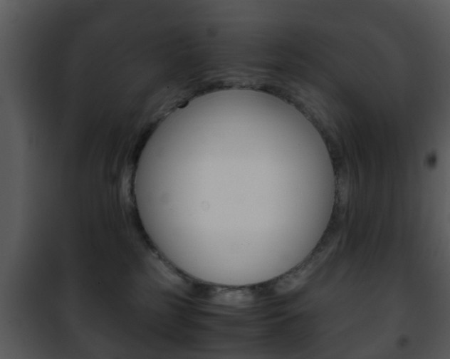 X0000101960185200807180711