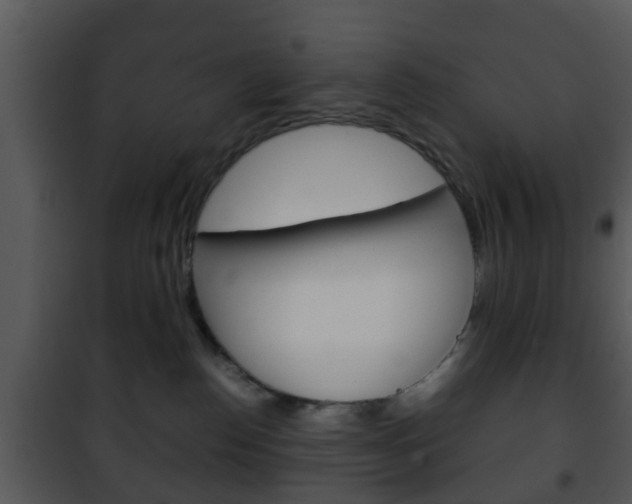 X0000101960186200807180711