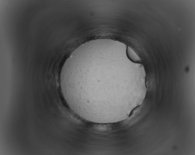X0000101960187200807180711