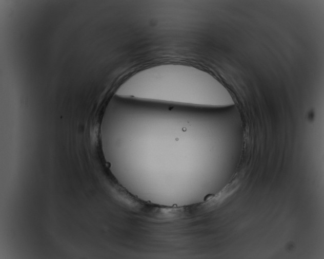 X0000101960188200807180711