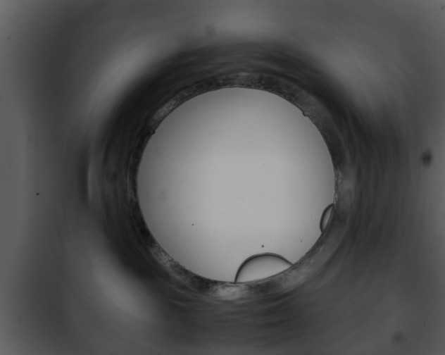 X0000101960189200807180711