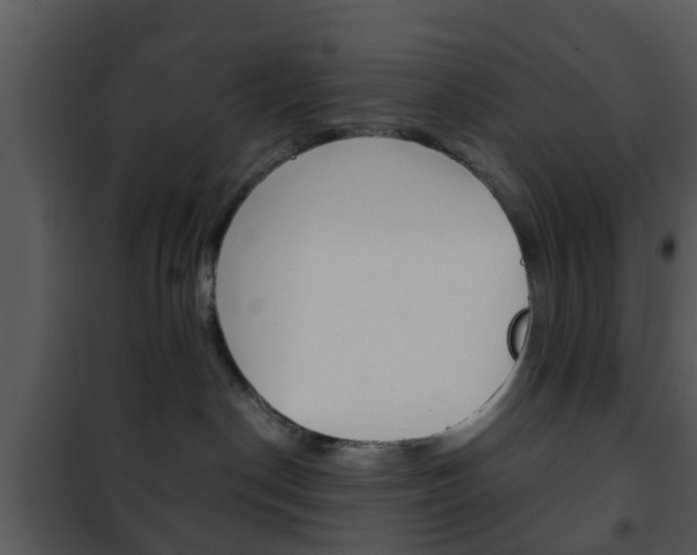 X0000101960190200807180711