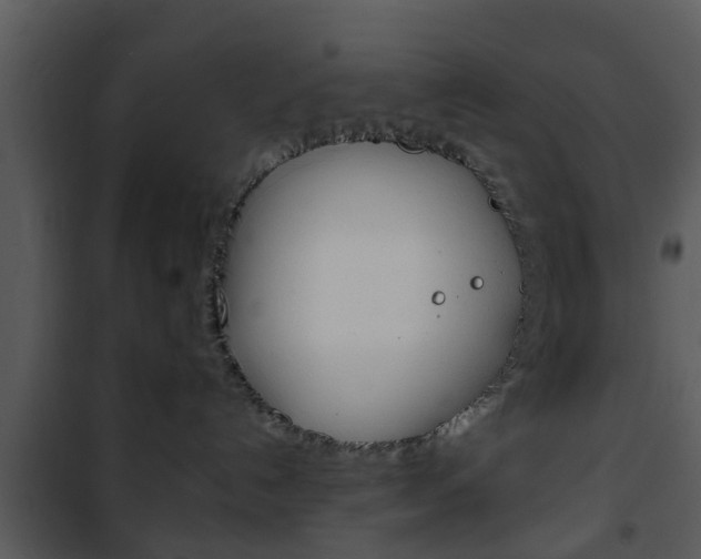 X0000101960192200807180711